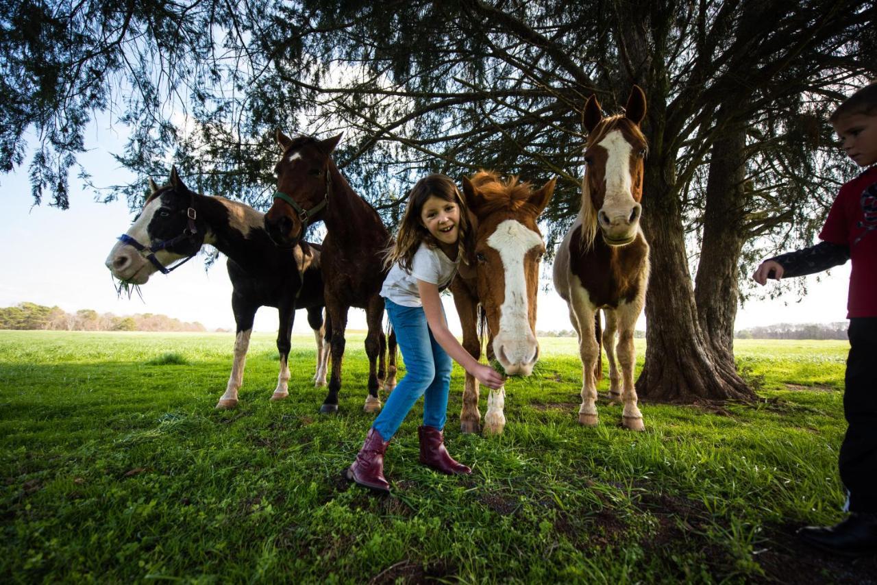 Southern Cross Guest Ranch Madison Extérieur photo